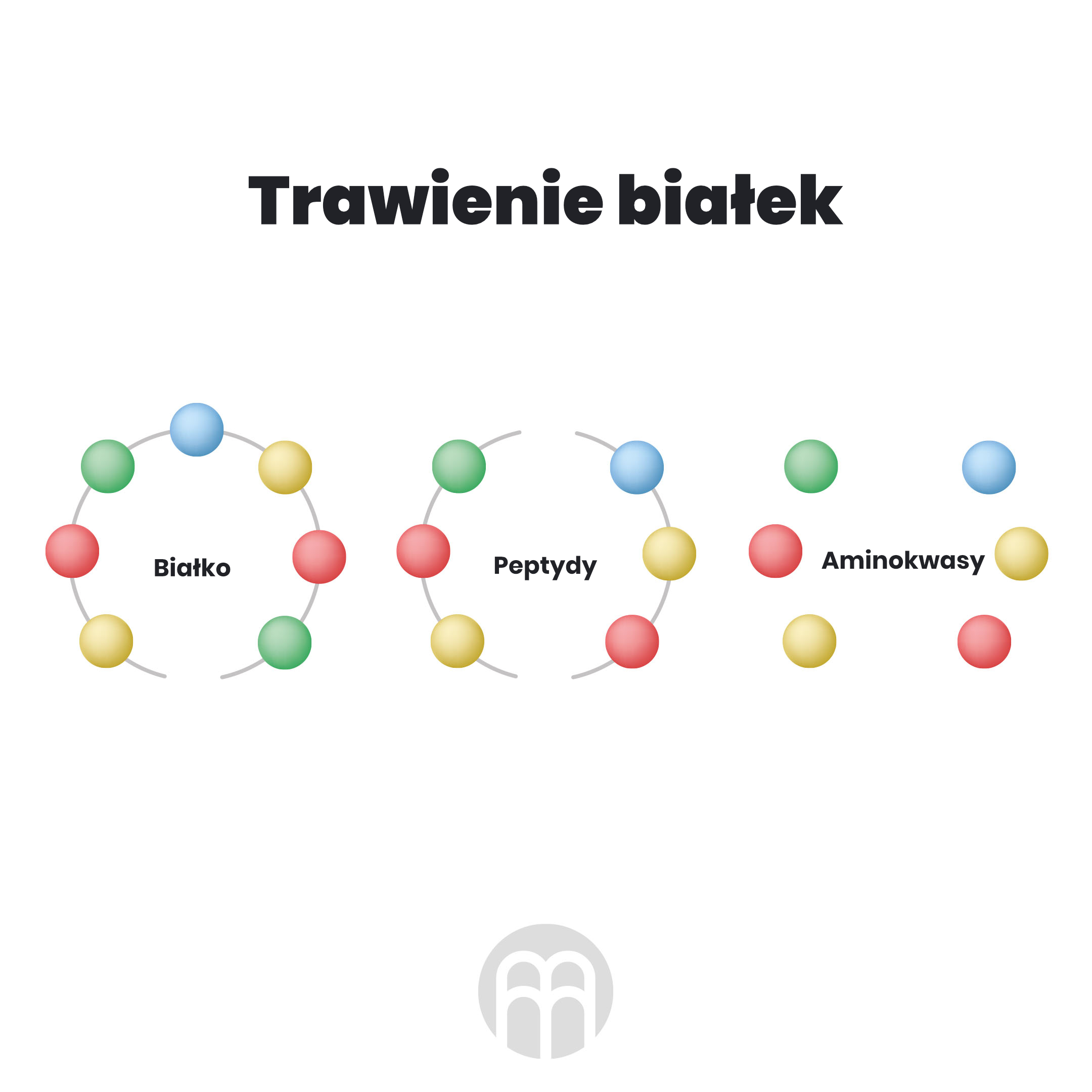traveni bilkovin infografika brainmarket_pl